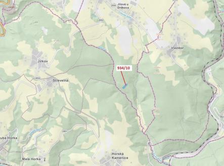 Prodej - pozemek, les, 4 305 m²