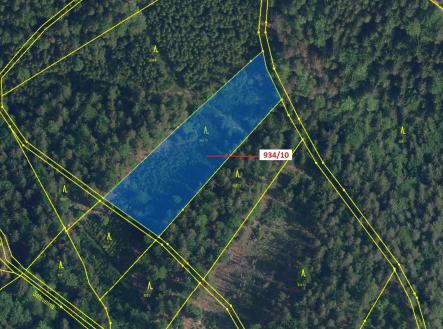 Prodej - pozemek, les, 4 305 m²