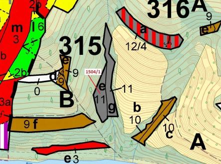 Prodej - pozemek, les, 2 626 m²