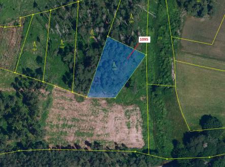 Prodej - pozemek, les, 1 427 m²