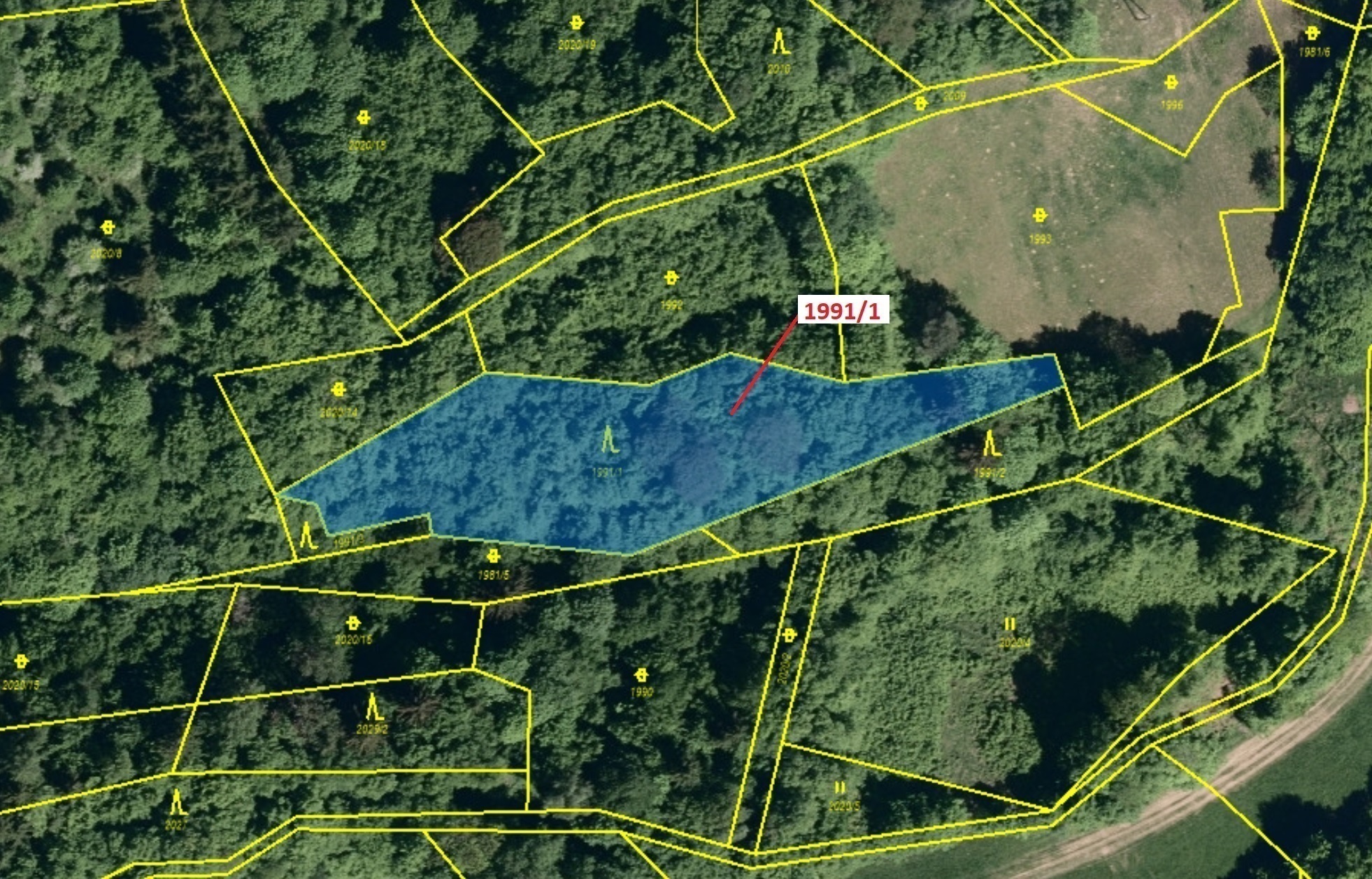 Lesní pozemek o výměře 2438 m2, podíl 1/1, katastrální území Hovězí, obec Hovězí, obec s rozšířenou 