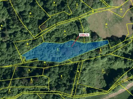 Prodej - pozemek, les, 2 438 m²