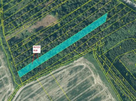 Prodej - pozemek, les, 3 965 m²