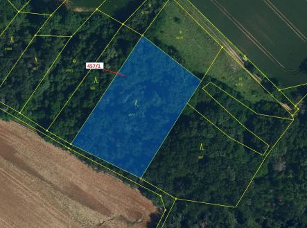 Prodej - pozemek, les, 4 115 m²