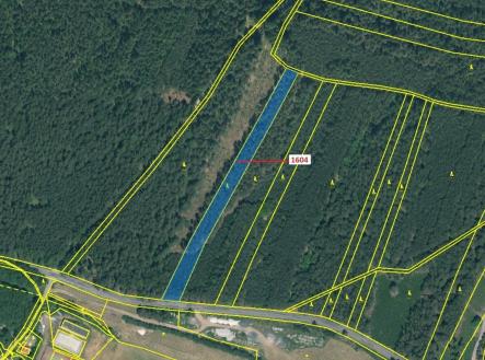 Prodej - pozemek, les, 4 076 m²