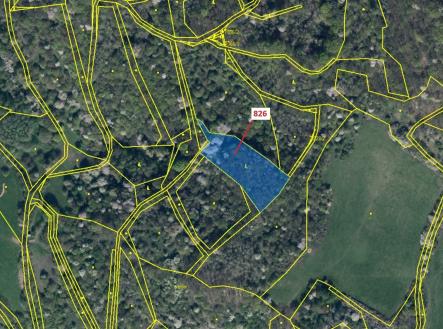 Prodej - pozemek, les, 4 610 m²