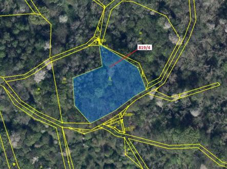 Prodej - pozemek, les, 2 875 m²