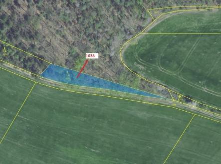 Prodej - pozemek, les, 953 m²