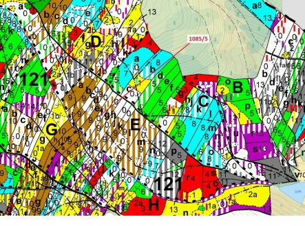 Prodej - pozemek, les, 3 926 m²