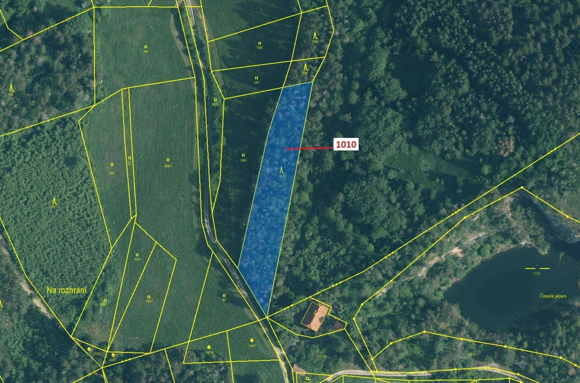 Lesní pozemek o výměře 3 054 m2, podíl 1/1, katastrální území Čepice, obec Rabí, obec s rozšířenou p