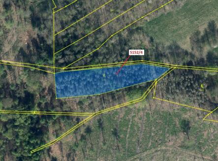 Prodej - pozemek, les, 3 638 m²