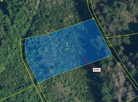 Prodej - pozemek, les, 2 540 m²