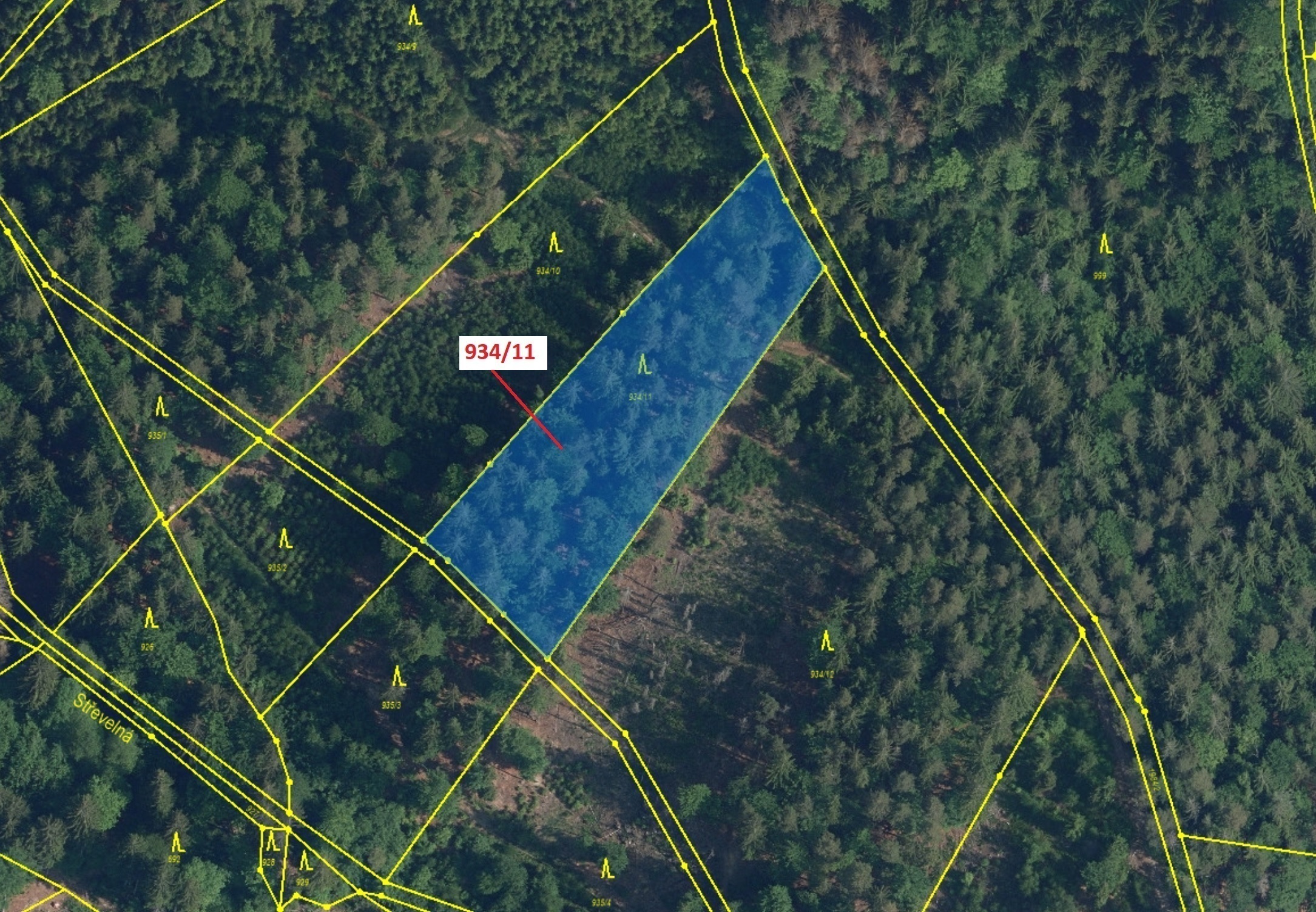 Lesní pozemek o výměře 3 439 m2, podíl 1/1, katastrální území Jílové u Držkova, obec Jílové u Držkov
