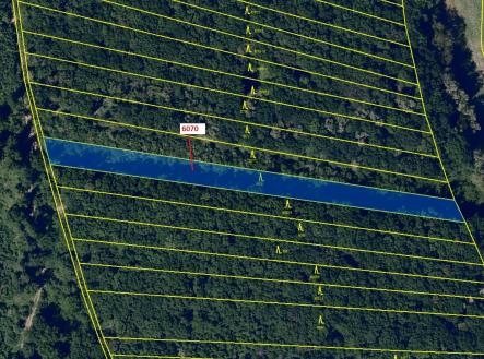 Prodej - pozemek, les, 2 892 m²