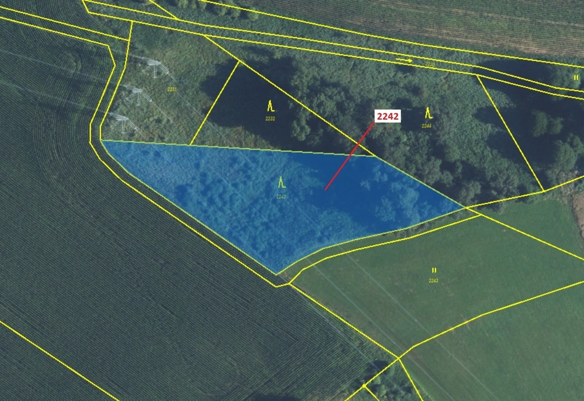 Lesní pozemek o výměře 3972 m2, podíl 1/1, katastrální území Trpík, obec Trpík, obec s rozšířenou pů