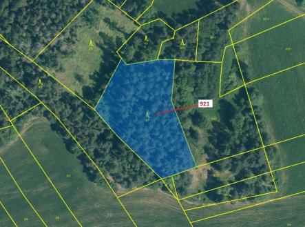 Prodej - pozemek, les, 4 401 m²