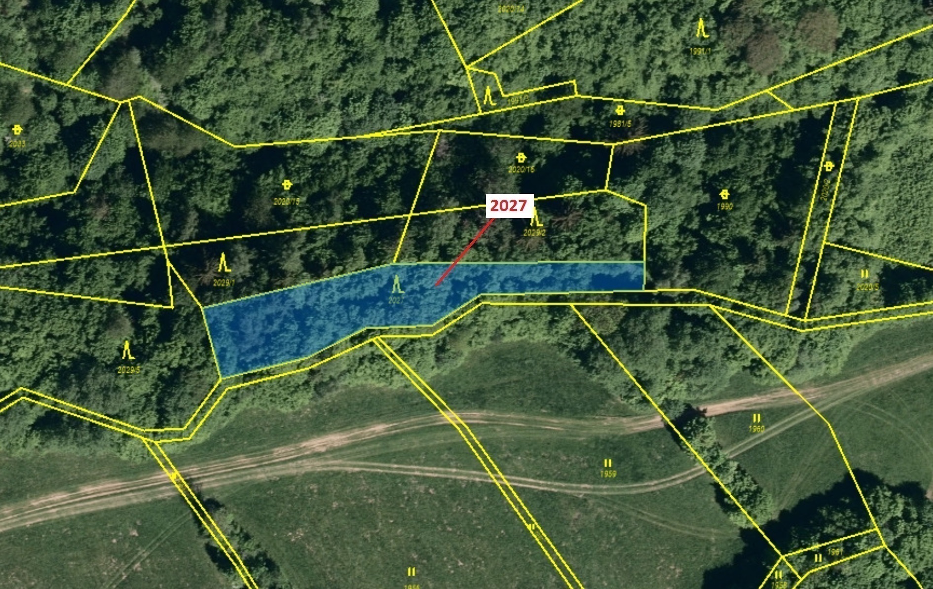 Lesní pozemek o výměře 1252 m2, podíl 1/1, katastrální území Hovězí, obec Hovězí, obec s rozšířenou 