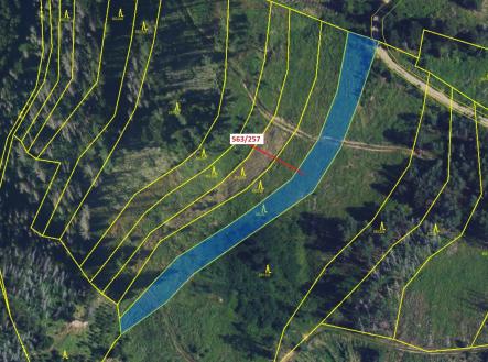 Prodej - pozemek, les, 2 643 m²