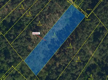 Prodej - pozemek, les, 2 231 m²