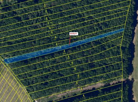 Prodej - pozemek, les, 2 108 m²