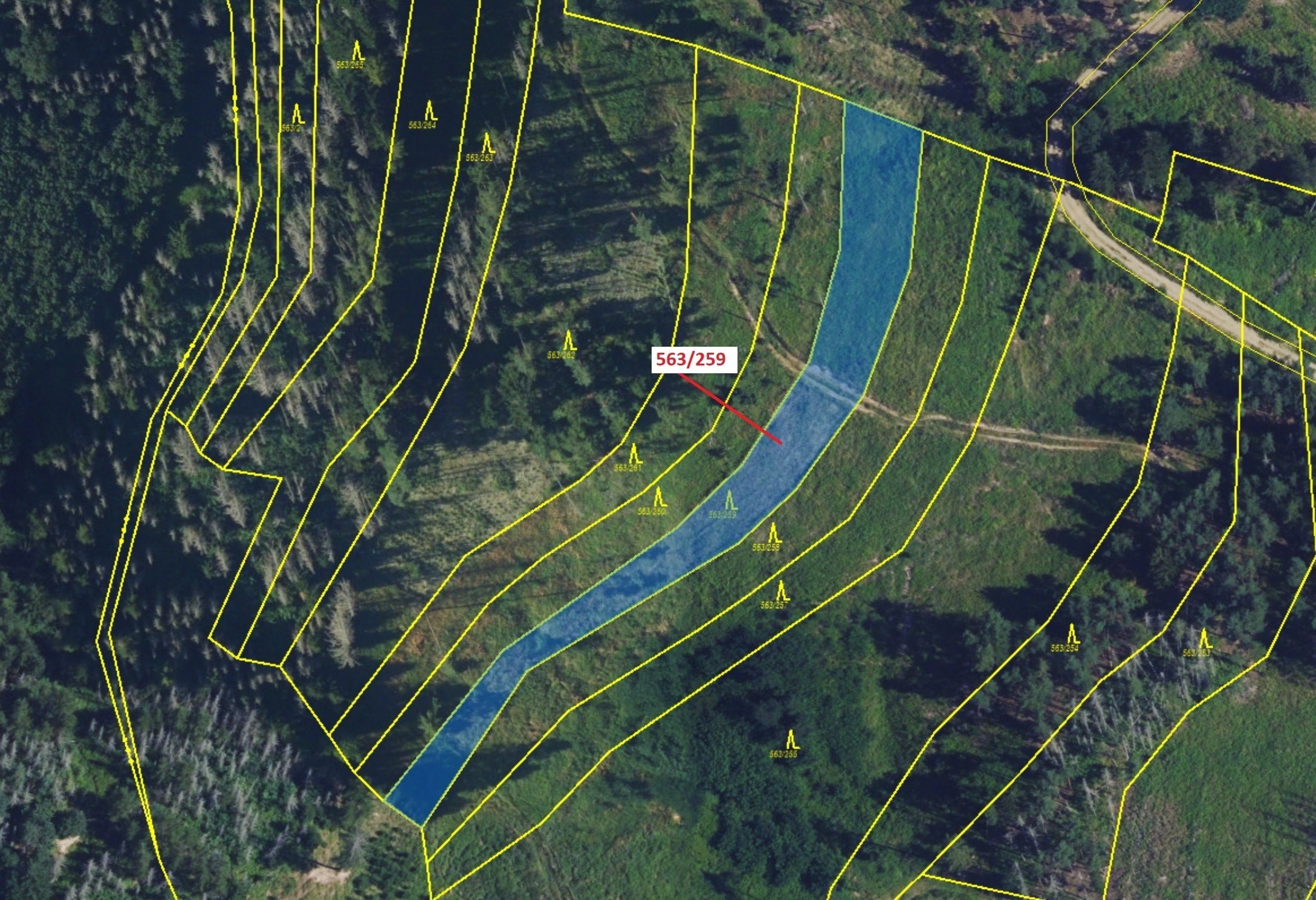 Lesní pozemek o výměře 2318 m2, podíl 1/1, katastrální území Spešov, obec Spešov, obec s rozšířenou 