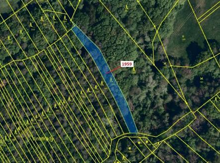 Prodej - pozemek, les, 1 160 m²