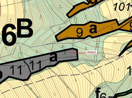 Prodej - pozemek, les, 788 m²