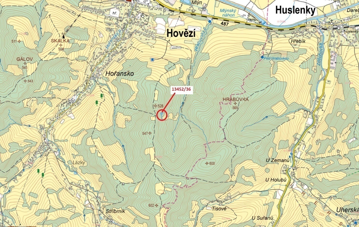 Lesní pozemek o výměře 1217 m2, podíl 1/1, katastrální území Hovězí, obec Hovězí, obec s rozšířenou 