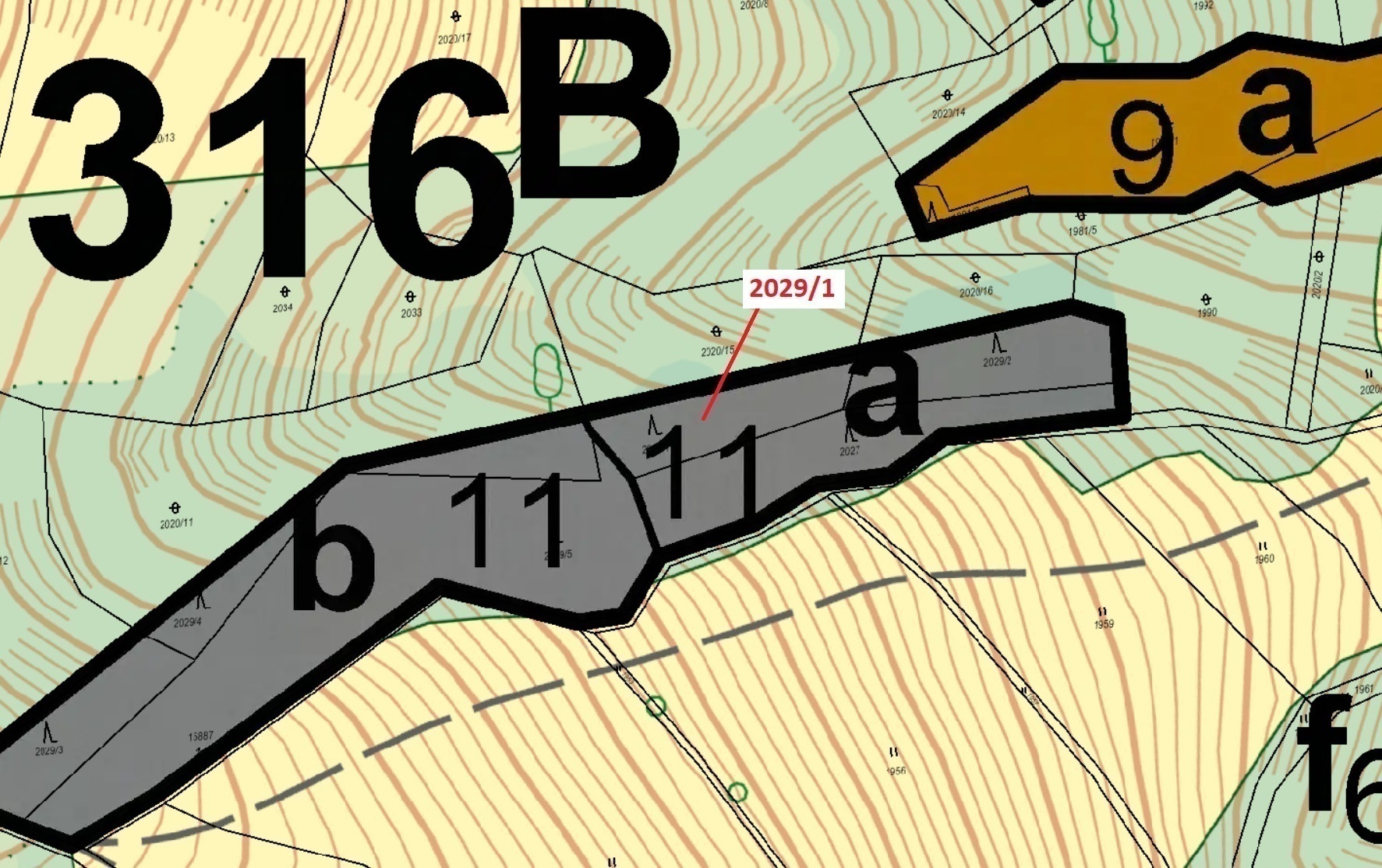 Lesní pozemek o výměře 680 m2, podíl 1/1, katastrální území Hovězí, obec Hovězí, obec s rozšířenou p
