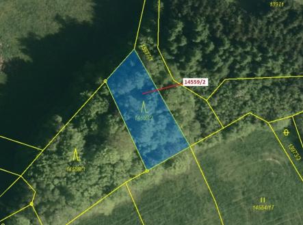 Prodej - pozemek, les, 605 m²