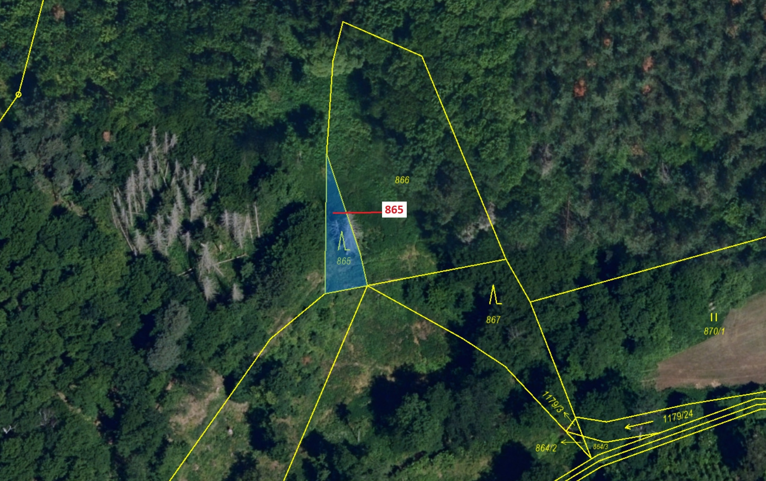 Lesní pozemek o výměře 111 m2, podíl 1/1, katastrální území Malý Dešov, obec Dešov, obec s rozšířeno