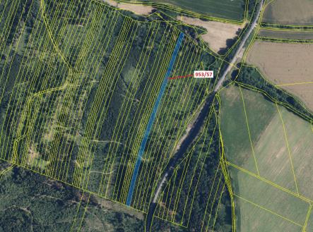 Prodej - pozemek, les, 6 750 m²