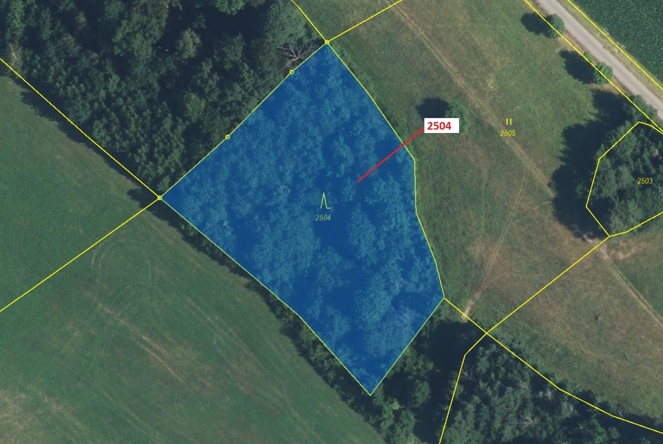 Lesní pozemek o výměře 3497 m2, podíl 1/1, katastrální území Písečná u Žamberka, obec Písečná, obec 