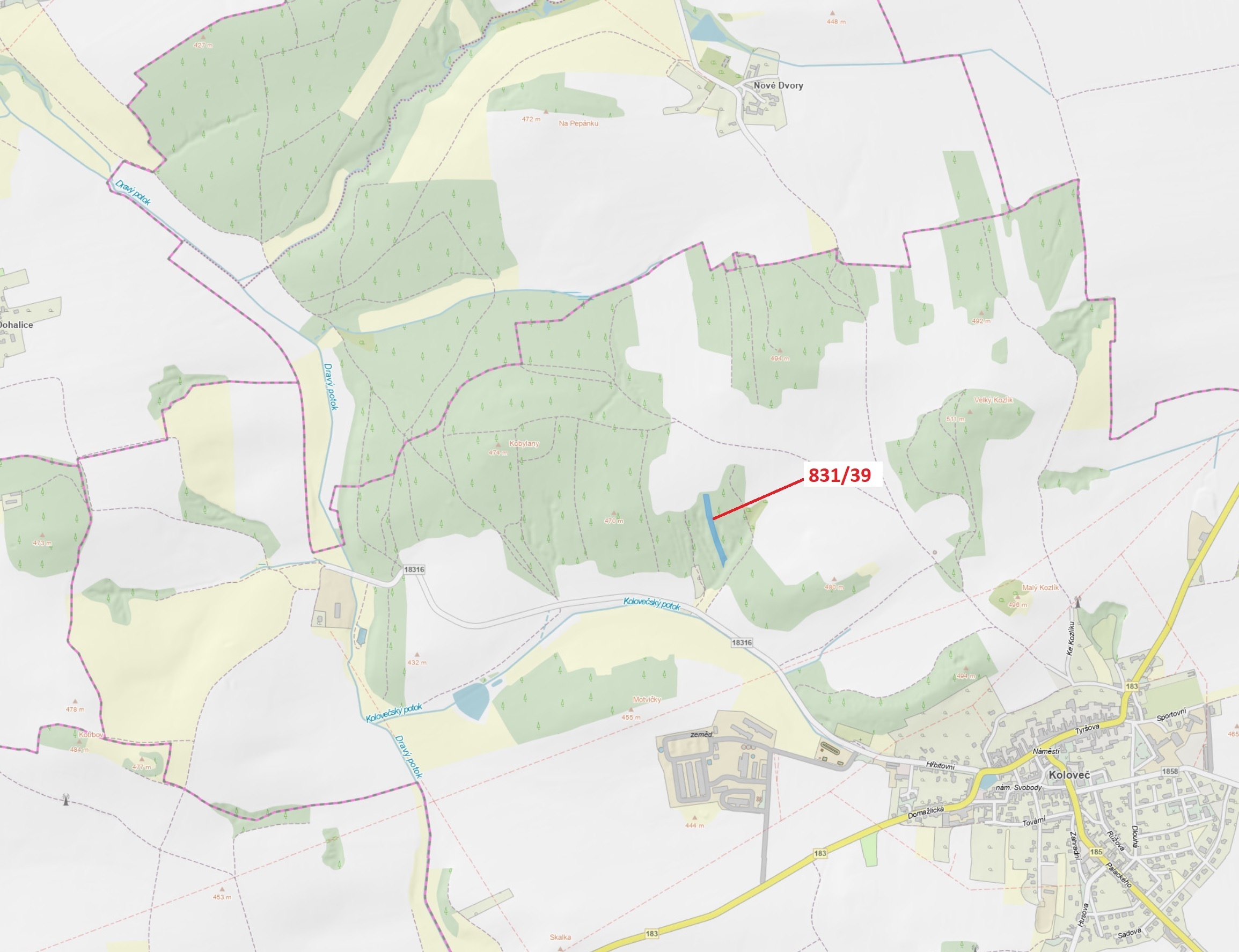 Lesní pozemek o výměře 3368 m2, podíl 1/1, katastrální území Koloveč, obec Koloveč, obec s rozšířeno