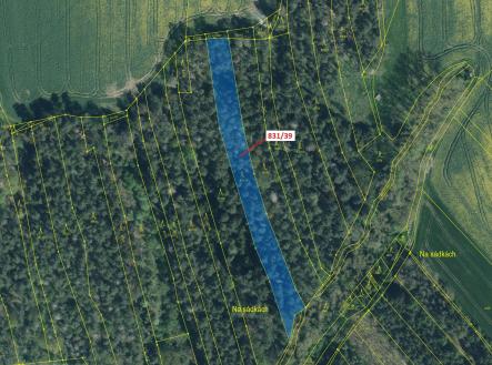 Prodej - pozemek, les, 3 368 m²