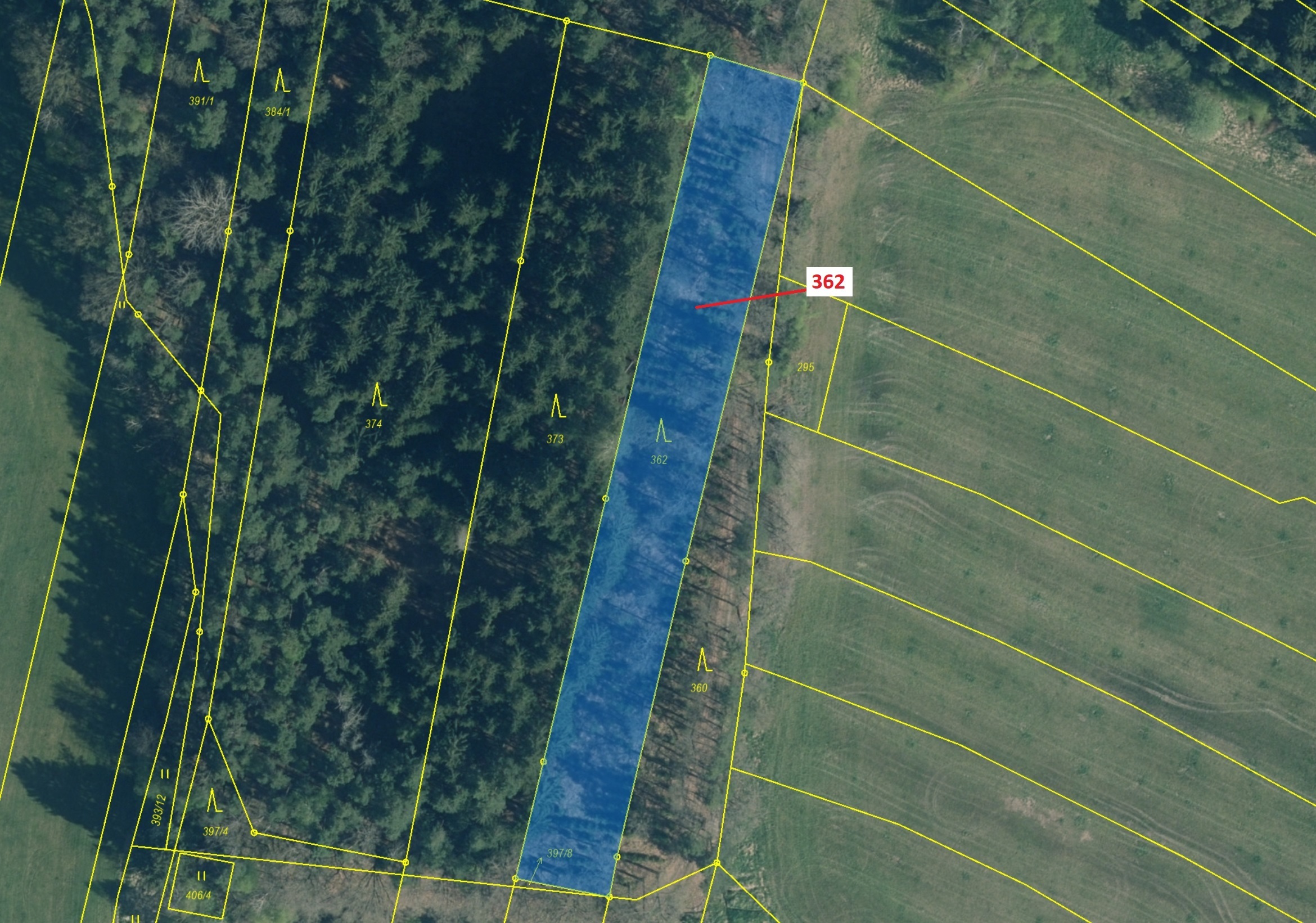 Lesní pozemek o výměře 2498 m2, podíl 1/1, katastrální území Bukvice u Trhových Svinů, obec Trhové S