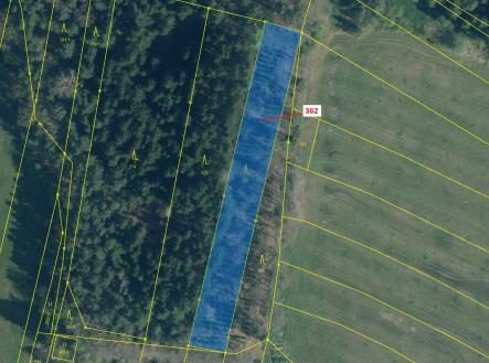 Prodej - pozemek, les, 2 498 m²