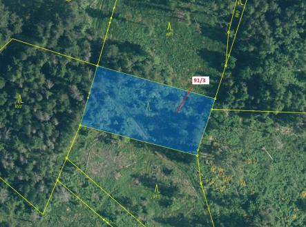 Prodej - pozemek, les, 1 958 m²