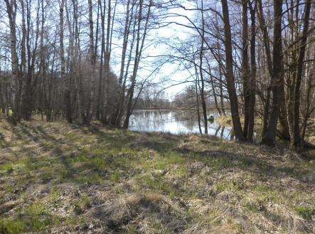 Prodej - pozemek, trvalý travní porost, 4 291 m²