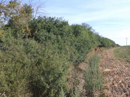 Prodej - pozemek, ostatní, 6 167 m²