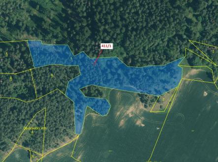 Prodej - pozemek, les, 12 307 m²