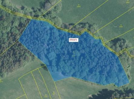 Prodej - pozemek, les, 10 526 m²