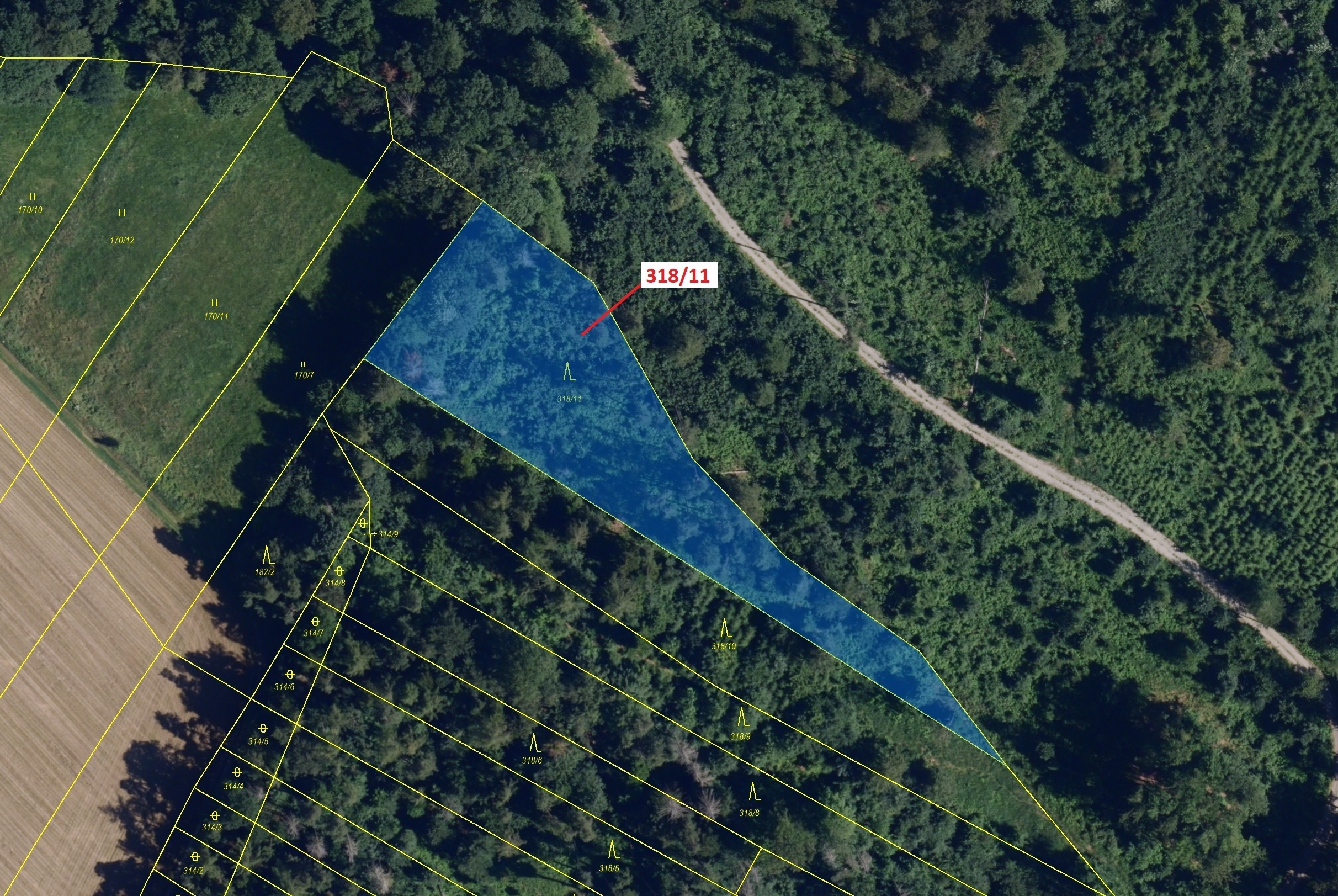 Lesní pozemek o výměře 3838 m2, podíl 1/1, katastrální území Lesní Hluboké, obec Lesní Hluboké, obec