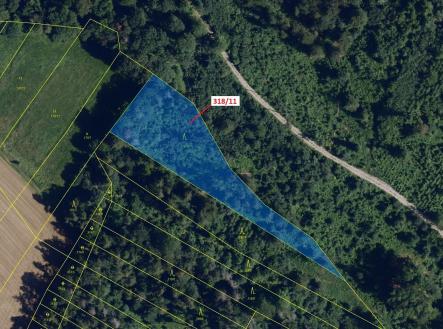 Prodej - pozemek, les, 3 838 m²