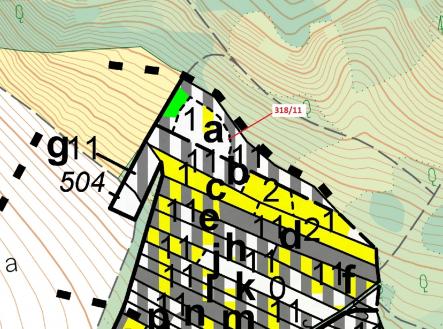 Prodej - pozemek, les, 3 838 m²