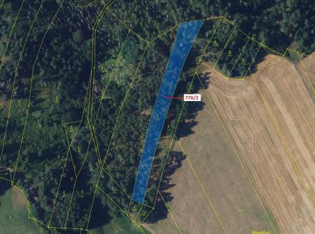 Prodej - pozemek, les, 3 169 m²