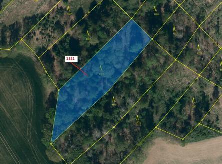 Prodej - pozemek, les, 2 998 m²