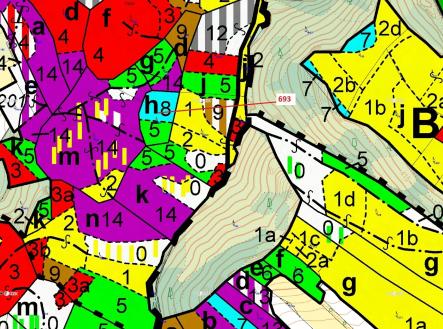 Prodej - pozemek, les, 2 813 m²