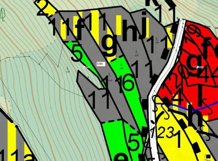 Prodej - pozemek, les, 2 442 m²