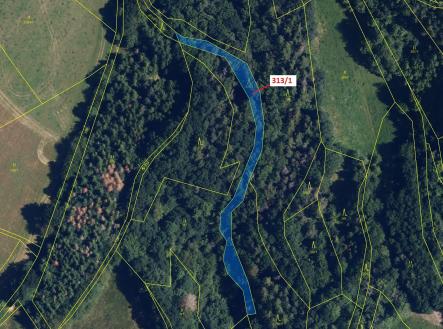 Prodej - pozemek, les, 1 158 m²